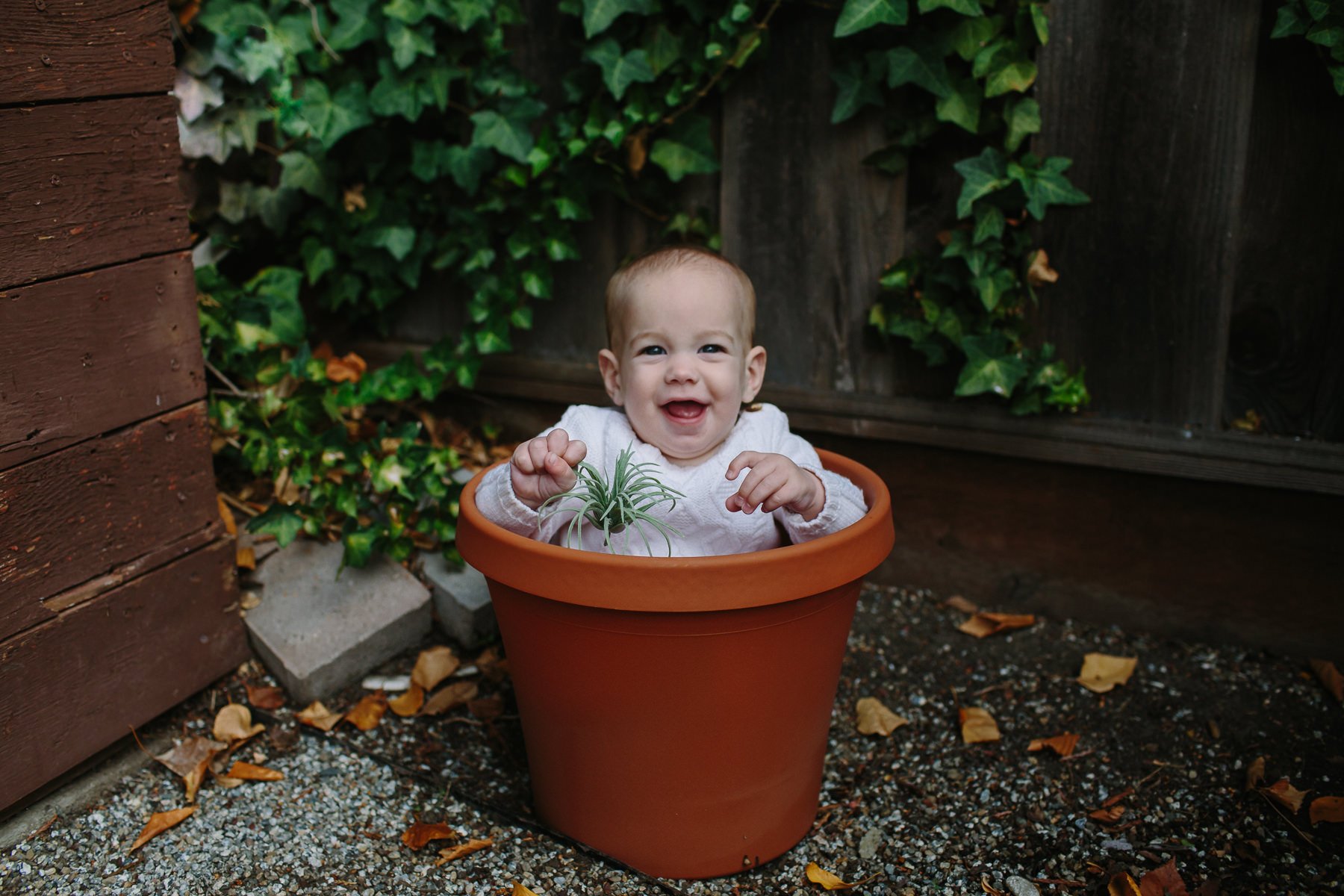 the-curiosity-project-blog-halloween-plant-lady-costumes (1 of 13).jpg