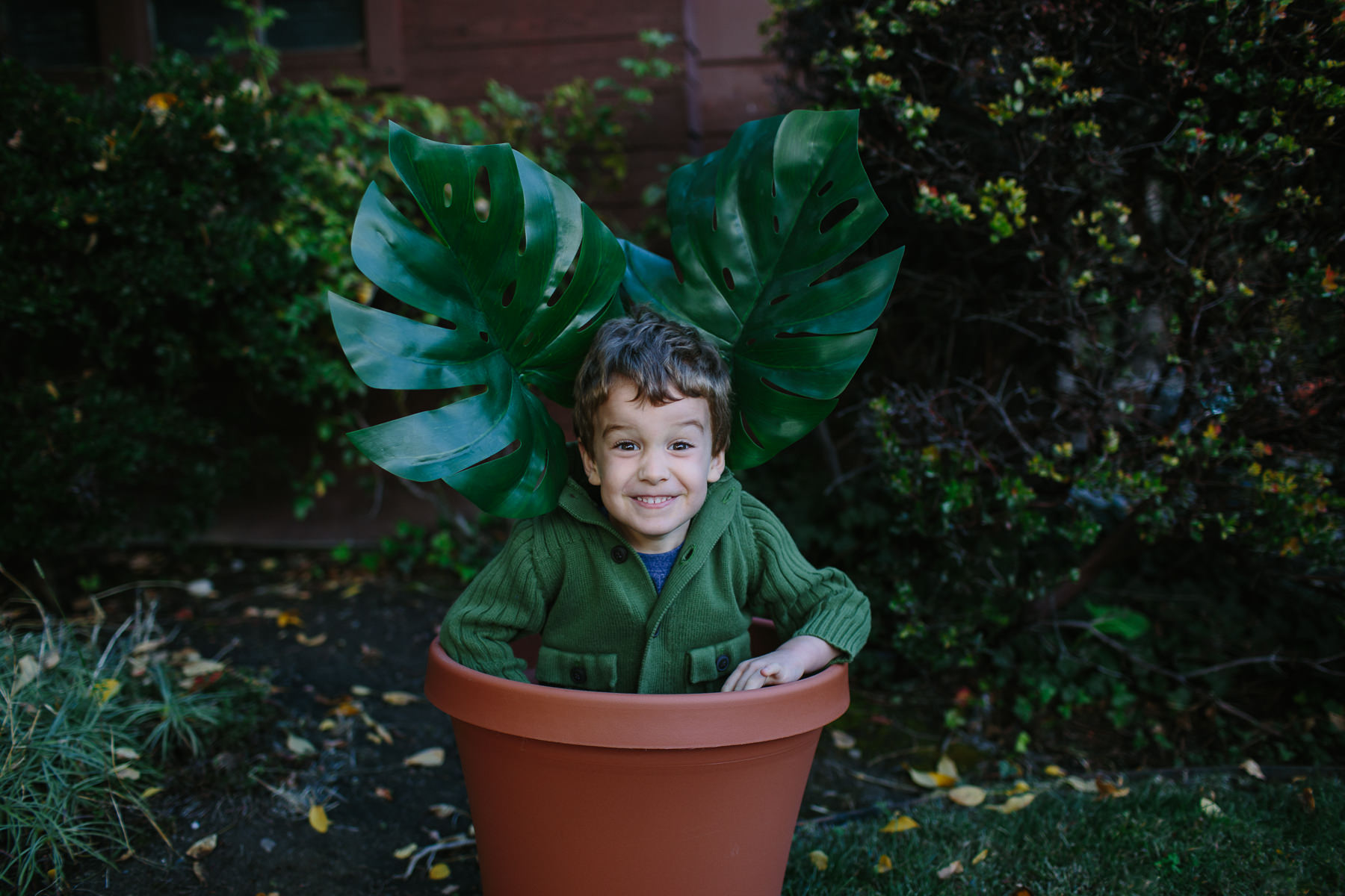 the-curiosity-project-blog-halloween-plant-lady-costumes (4 of 13).jpg