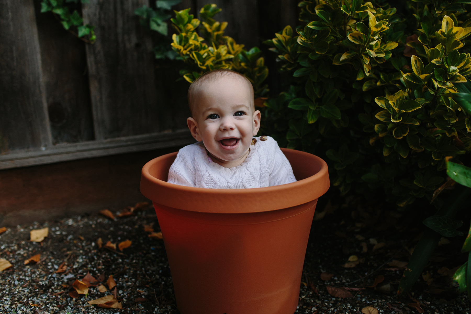 the-curiosity-project-blog-halloween-plant-lady-costumes (2 of 13).jpg