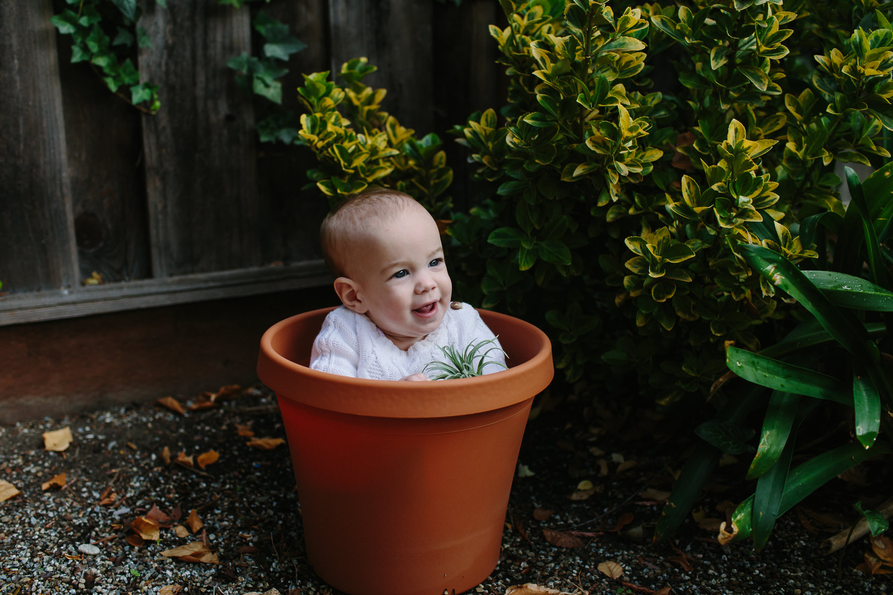 the-curiosity-project-blog-halloween-plant-lady-costumes (3 of 13).jpg