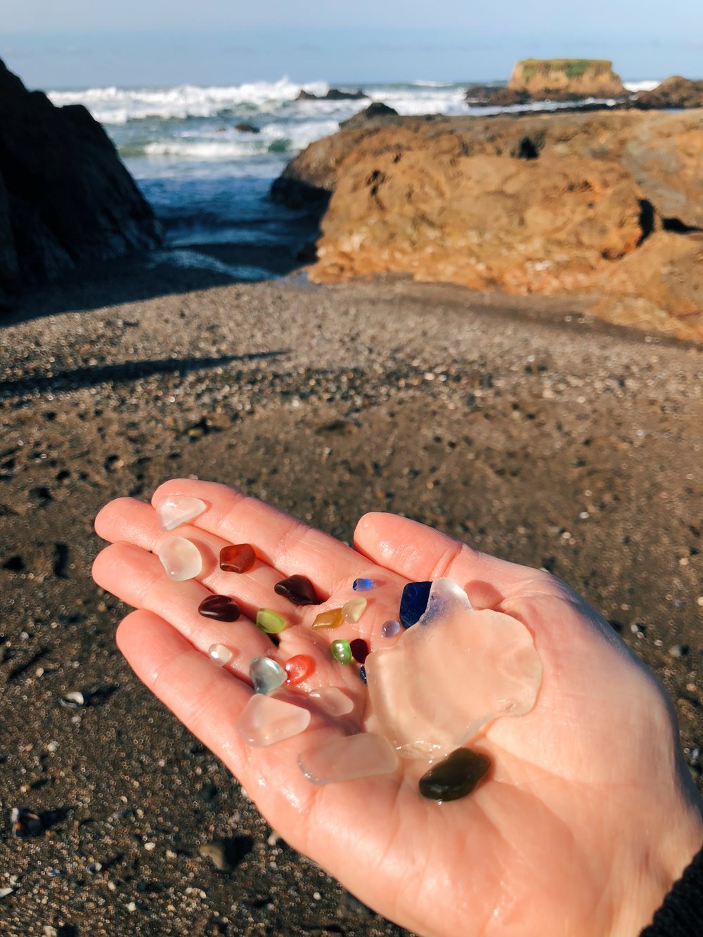 Photo Jan 20, 10 37 21 AM.jpg