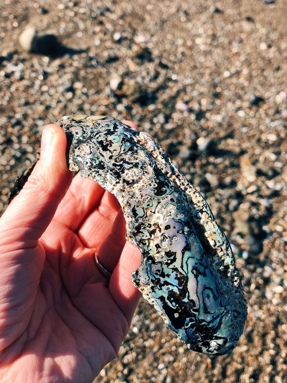 Photo Jan 20, 10 52 49 AM.jpg