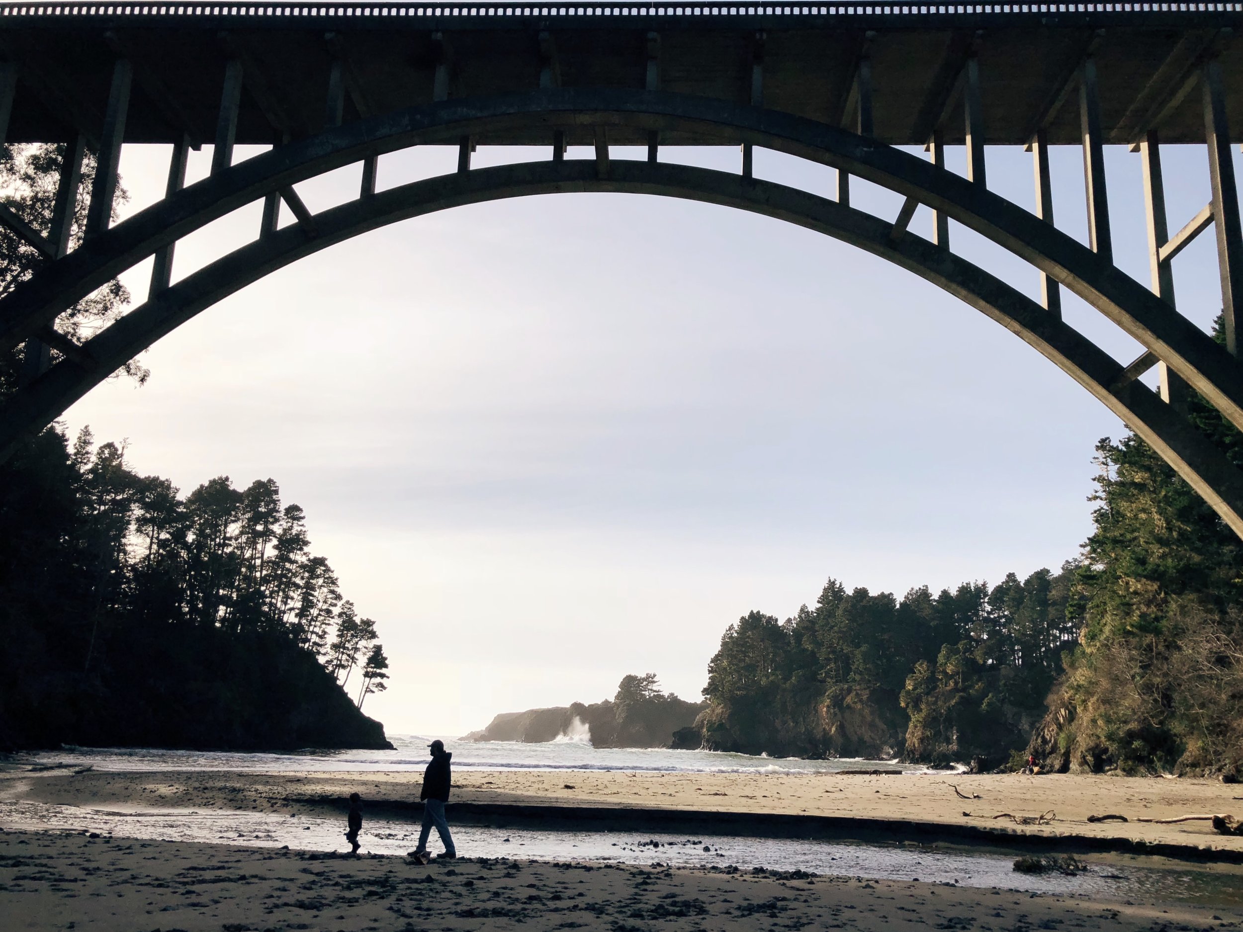 Photo Jan 20, 2 52 22 PM.jpg