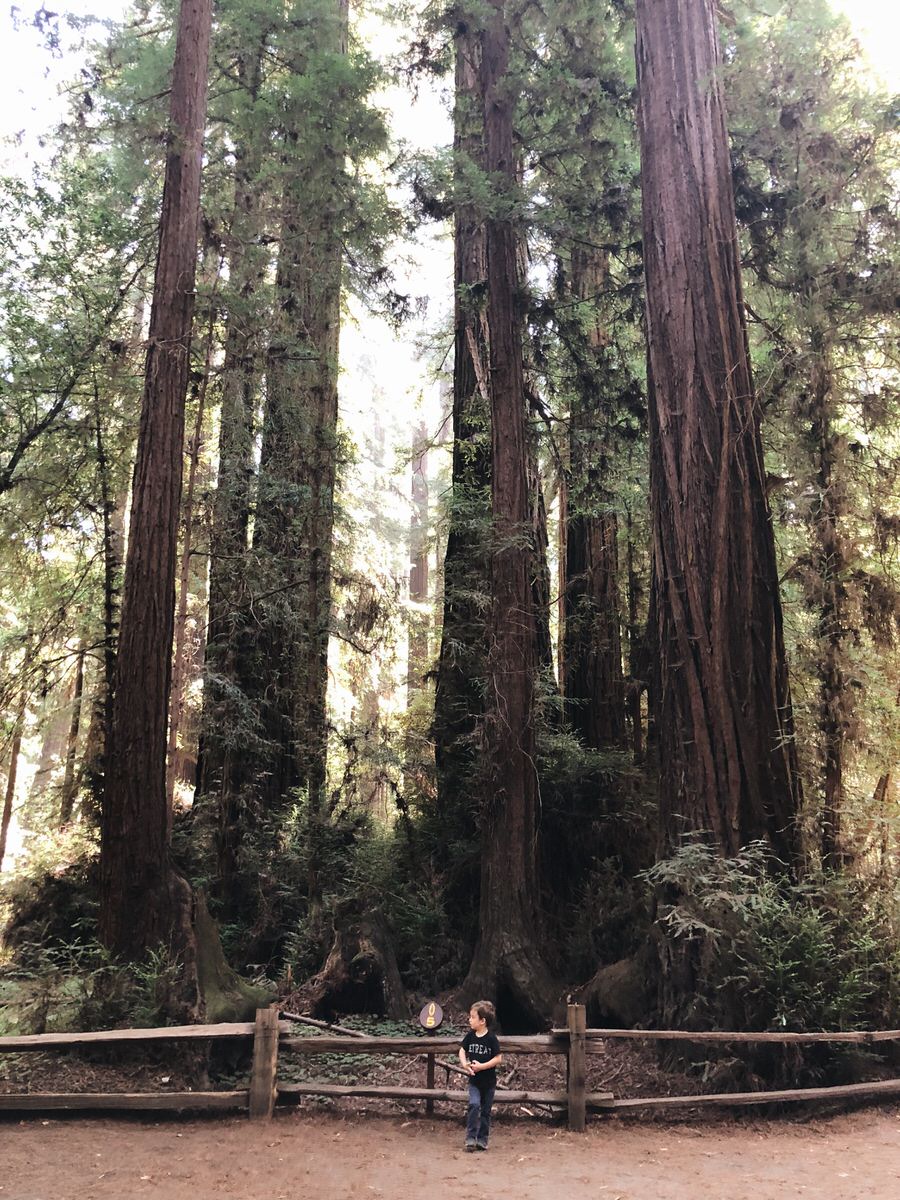 Photo Aug 16, 12 22 00 PM-1.jpg