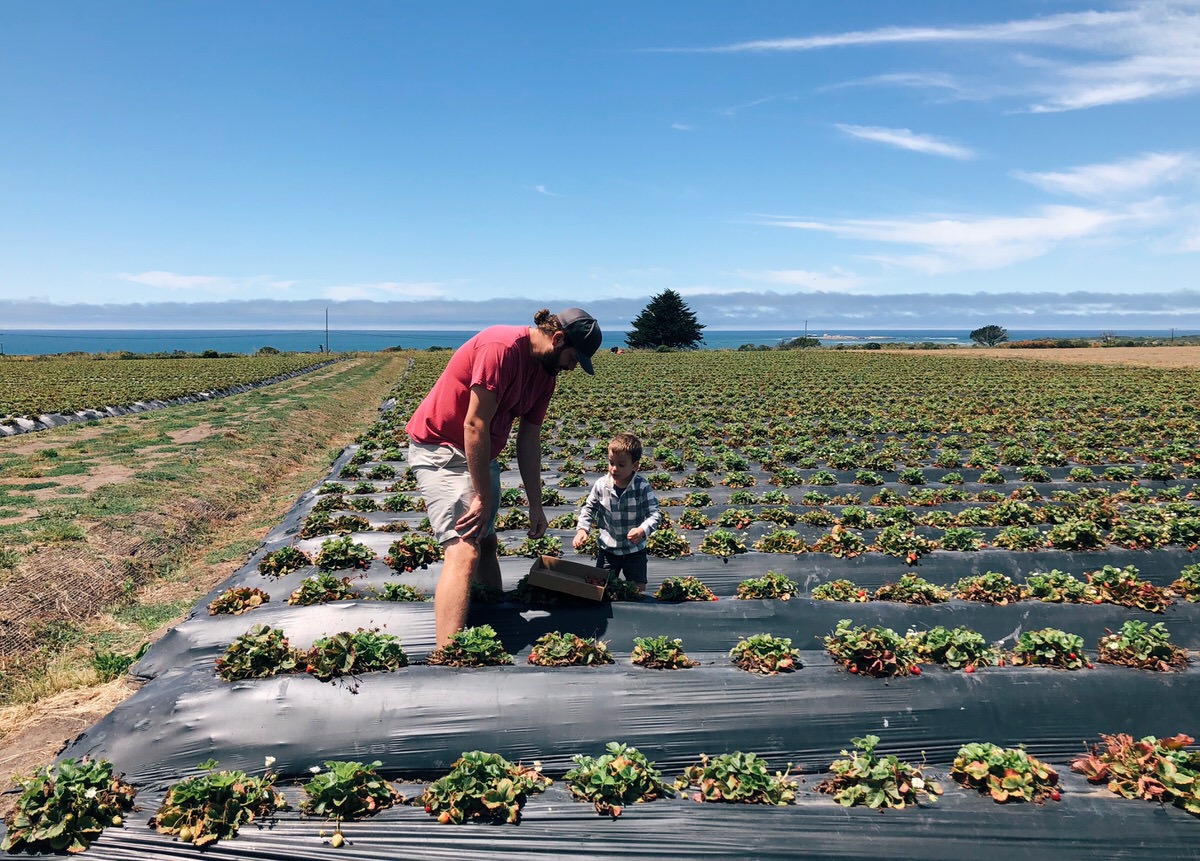 Photo Jul 14, 12 34 28 PM-1.jpg