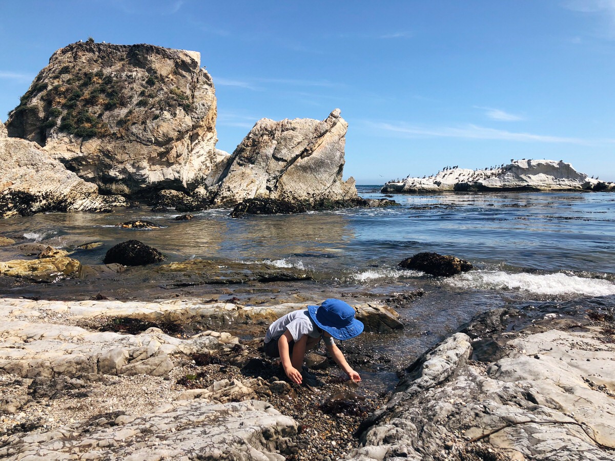 Photo Jun 09, 3 32 01 PM-1.jpg