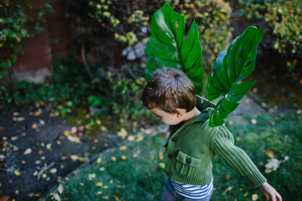 Houseplants for Halloween