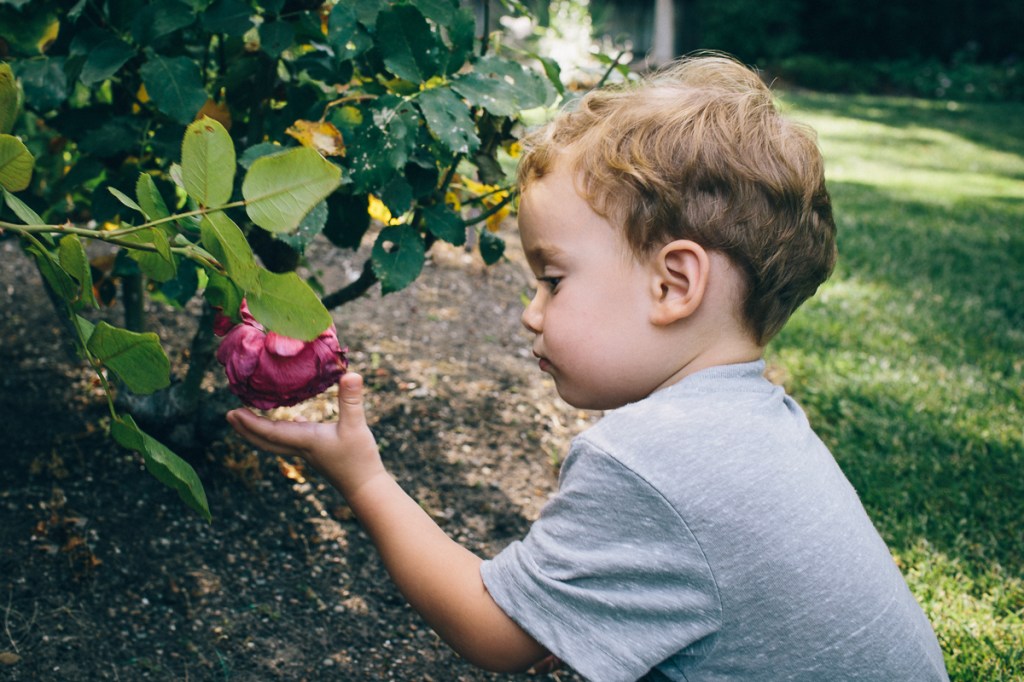 Cultivating Curiosity in Crazy&nbsp;Times